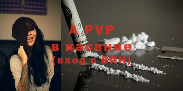 a pvp Белокуриха