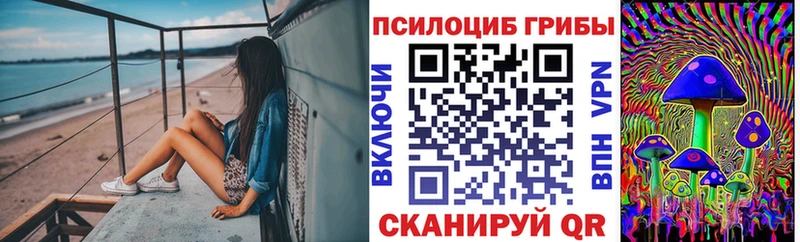 Галлюциногенные грибы Psilocybine cubensis  Городовиковск 